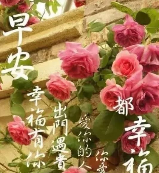  学会坦然|做粥要放三分米，七分水；处事要三分为己，七分为人，早安