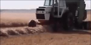 世界|德国凭这几张照片，再次震撼世界！太牛了