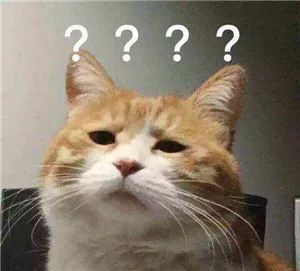 朋友|“秋天的第一杯奶茶”是什么梗?朋友圈里都在发!