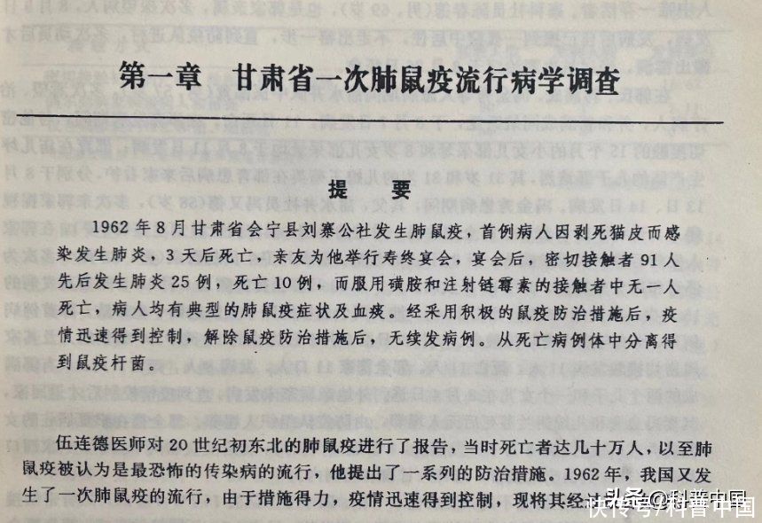 鼠兔的性格和脾气(鼠兔很可爱想摸摸？但它可能会要你的命)