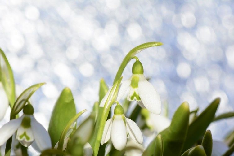 发大财|8月开始好运相伴,财富大利,闷声发大财的四大生肖