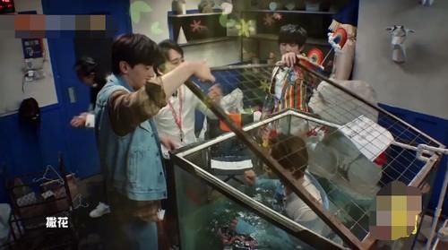  密室|密逃最后一个密室玩太大，黄明昊被困水箱两小时，粉丝集体揪心