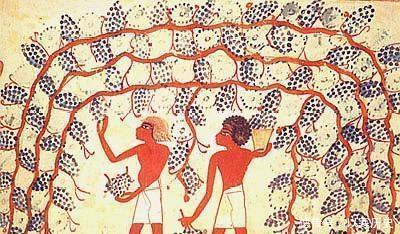 迦太基|谁是迦太基人他们为什么跟罗马人征战不休