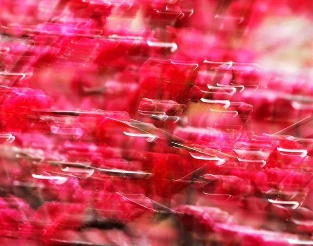  遐想|【视觉影像】津门网陈盈国：《界》遐想摄影展