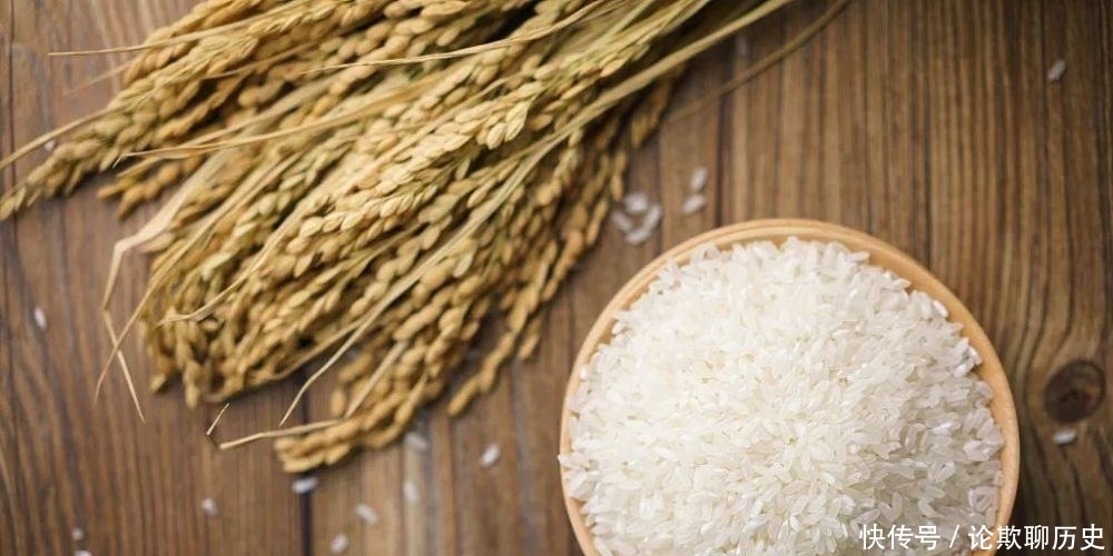 中国人|稻米、小麦、玉米——专家告诉你,三大主粮价格走势