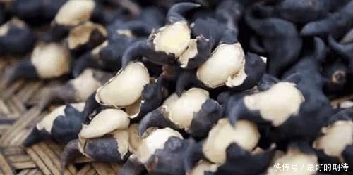 让外国人|这次不是小龙虾,一水生植物在国外泛滥成灾,中国网友放着我来