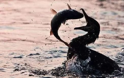  工资|10个矿老板，9个都是苦出来的！