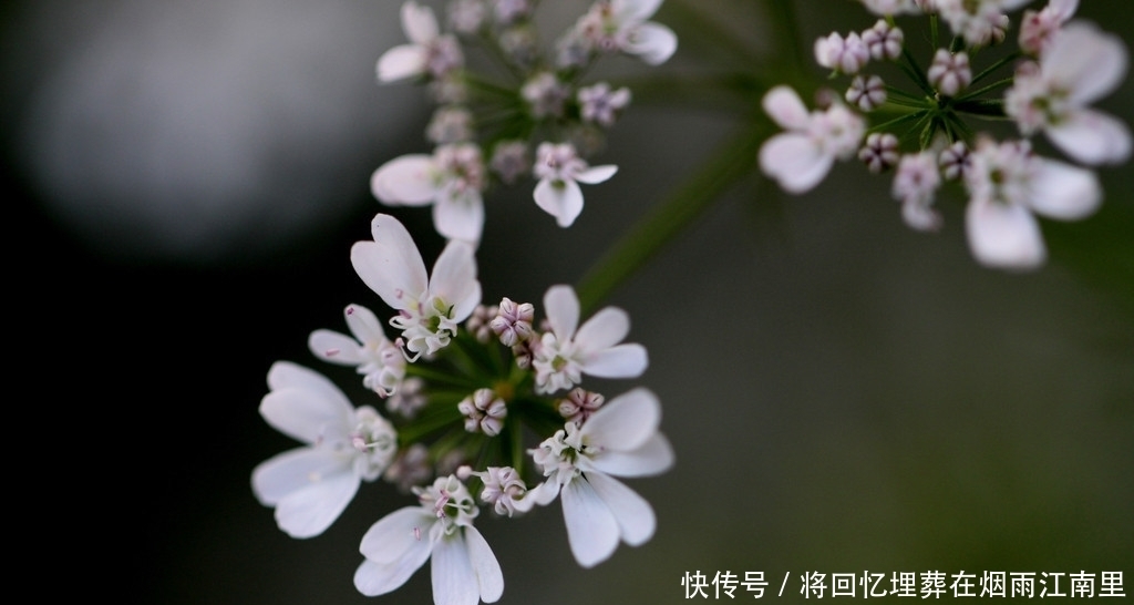  表里如一|十二星座外表和内心相差指数是多少？有人表里如一，有人深藏不露