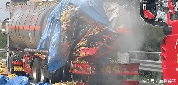  发生|高速公路两大货车相撞，30万个鸡蛋碎一地，货车司机损失惨重