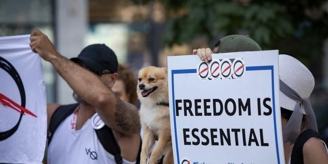 加拿大|有钱人闲着没事做？加拿大富二代不戴口罩，带着妈妈们抗议封锁