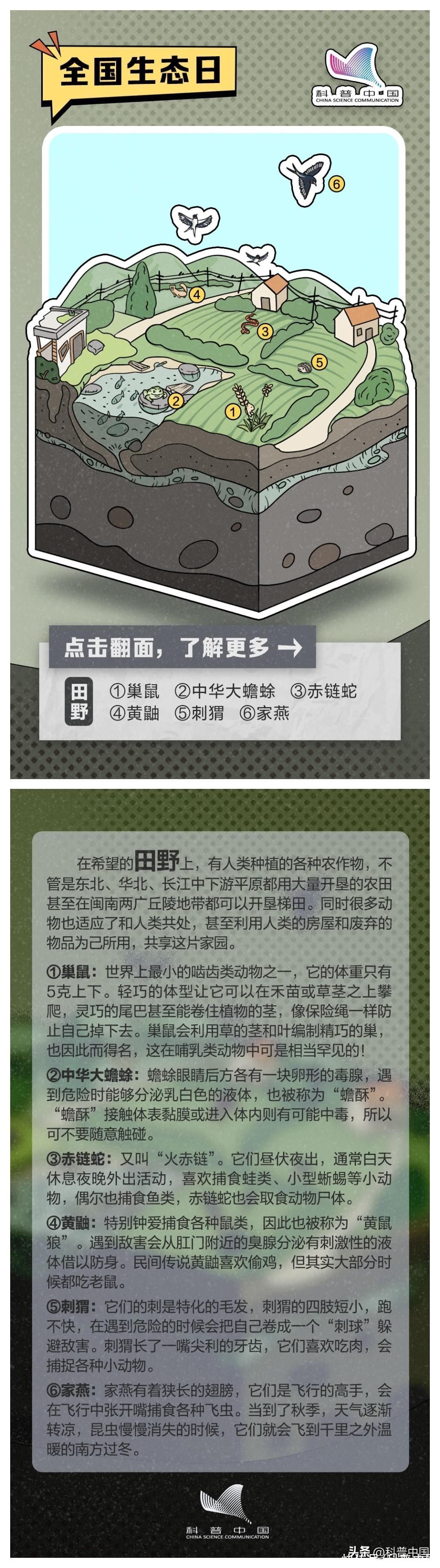 地球上最值得去的 8 个地方，你去过几个？2023