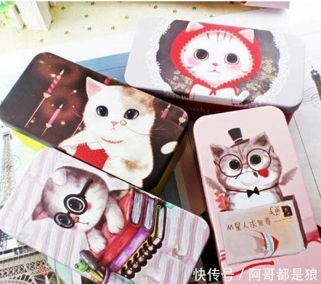 公主|十二星座专属定制文具盒,少女感爆棚,公主专用!