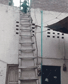 搞笑|搞笑GIF：小朋友表示这比电梯还方便