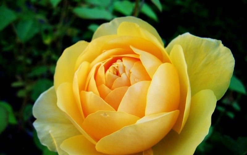 扎堆|7月开始事业名利双收,喜事扎堆来,横财入口袋的四大属相