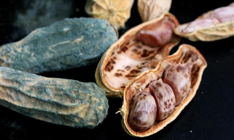  患者|28岁小伙查出胃癌晚期，父亲痛哭：他一年200天都吃这个！