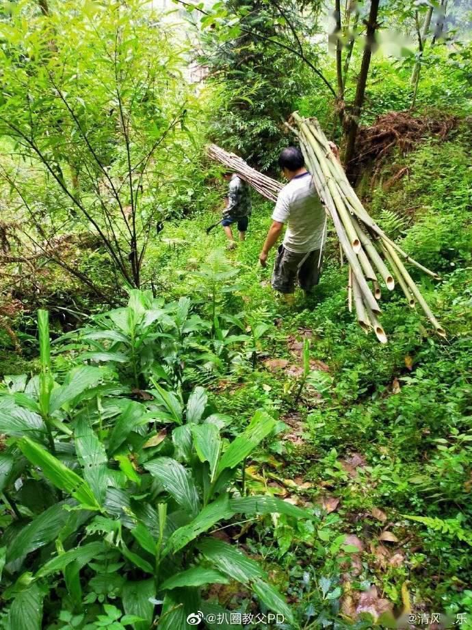 修路|小飞侠生日应援再为公益助力 捐款修路传递温暖和爱