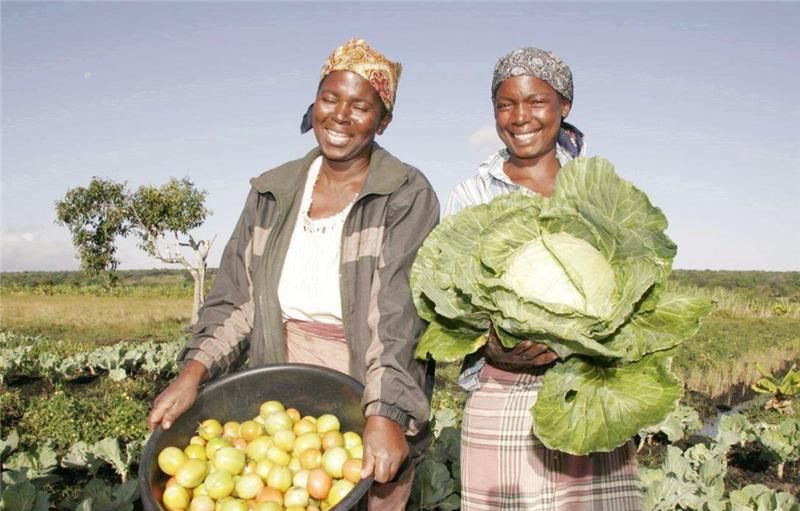 是因为|非洲人饭都吃不上还不种地,是因为懒吗?专家:你看地上长了什么