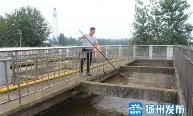 工作|宝应刘红兵：既是“将军”，又是“兵”！只有2个人的厂，他守了8年