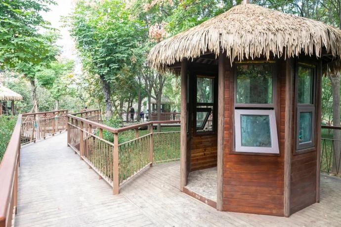 家门口|推窗见绿，拥抱家门口的绿色诗意空间