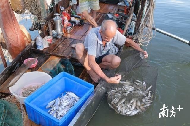 抓紧|假期尾巴抓紧吃!来肇庆品尝秋天第一口鲜吧