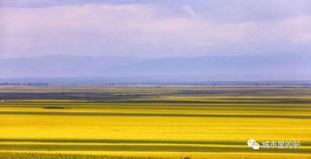  长白山|三伏暑热天，让我带你去这些只有25°的地方纳凉吧！