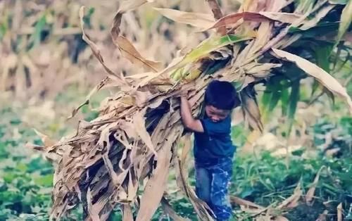  孩子|曾“千里背疯娘”的大学生，32岁获此殊荣，寒门就该出孝子？