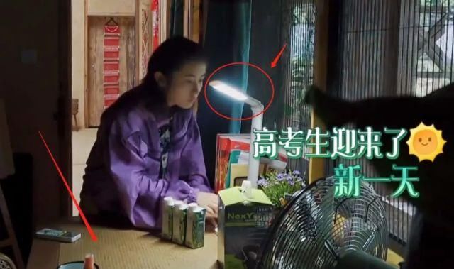 高考|高考文化课391分，立过学霸人设的张子枫果然被嘲了