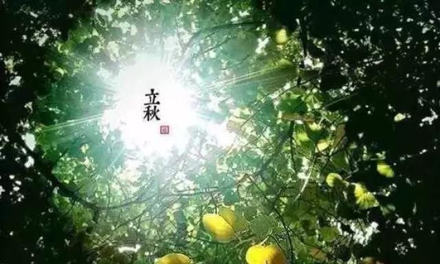  今日|时令 | 今日立秋！还会热吗？