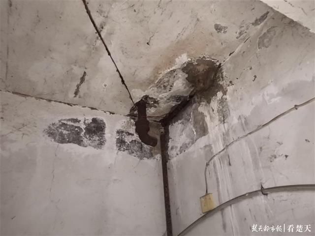  墙壁|墙壁漏水钢筋裸露，60年老房子成C级危房，60多户居民盼妥善处置