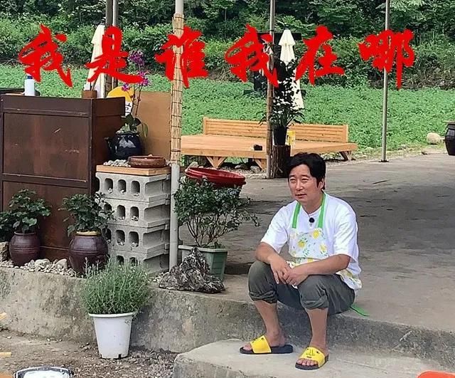  今夏|开播9.6，今夏续命就看它了