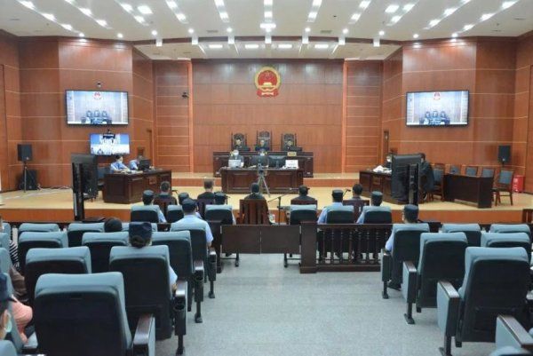 杨求金|云南怒江杨求金等13名被告人涉黑案件作出一审判决