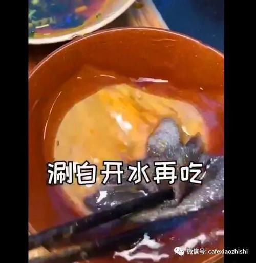 老板|你能吃辣吗？从“滴辣不沾”到“无辣不欢”，你是什么段位？