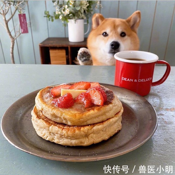 吃饭|女子每次吃饭，餐桌旁总会“长”出一颗狗头：再看就把你吃掉