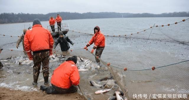 意外|美国亚洲鲤鱼泛滥，效仿中国查干湖冬捕方式，结果令人意外