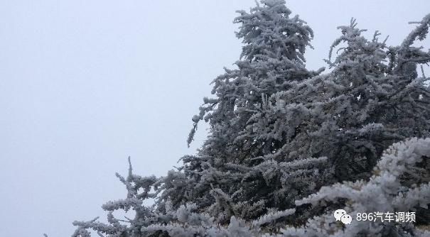  山里|秦岭山里下雪了！