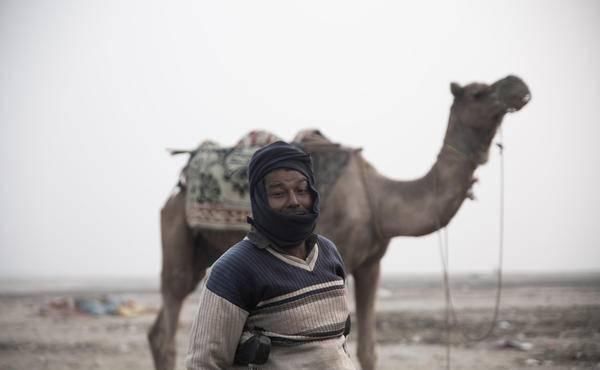  受伤|受伤的文明：印度