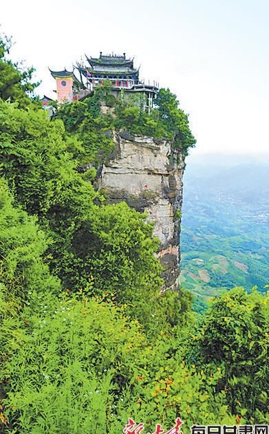  陇原|「印象陇原」漫游西狭颂