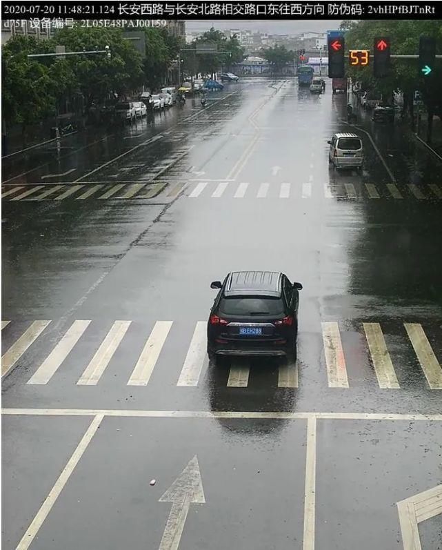 车牌号为桂|【曝光台】来看看这些违章车辆，坚决曝光