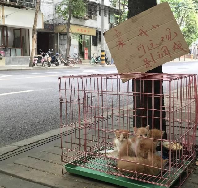 咖啡馆|散步去咖啡馆的人