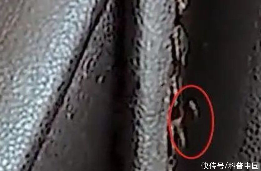 共享按摩椅不付费坐真的会翻转吗(共享按摩椅千万别随便坐，你知道为什么吗？)