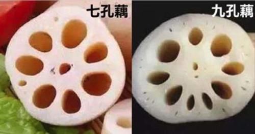  记住|买莲藕，7孔的和9孔的哪个好？30年藕农：记住4点，准没错