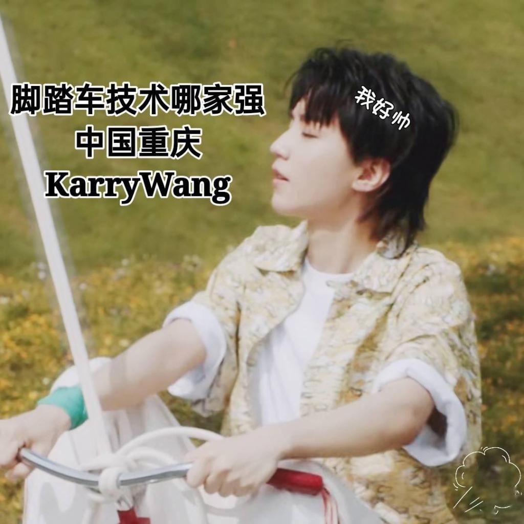 奇奇怪怪|饭制王俊凯骑小车表情包，奇奇怪怪的小可爱