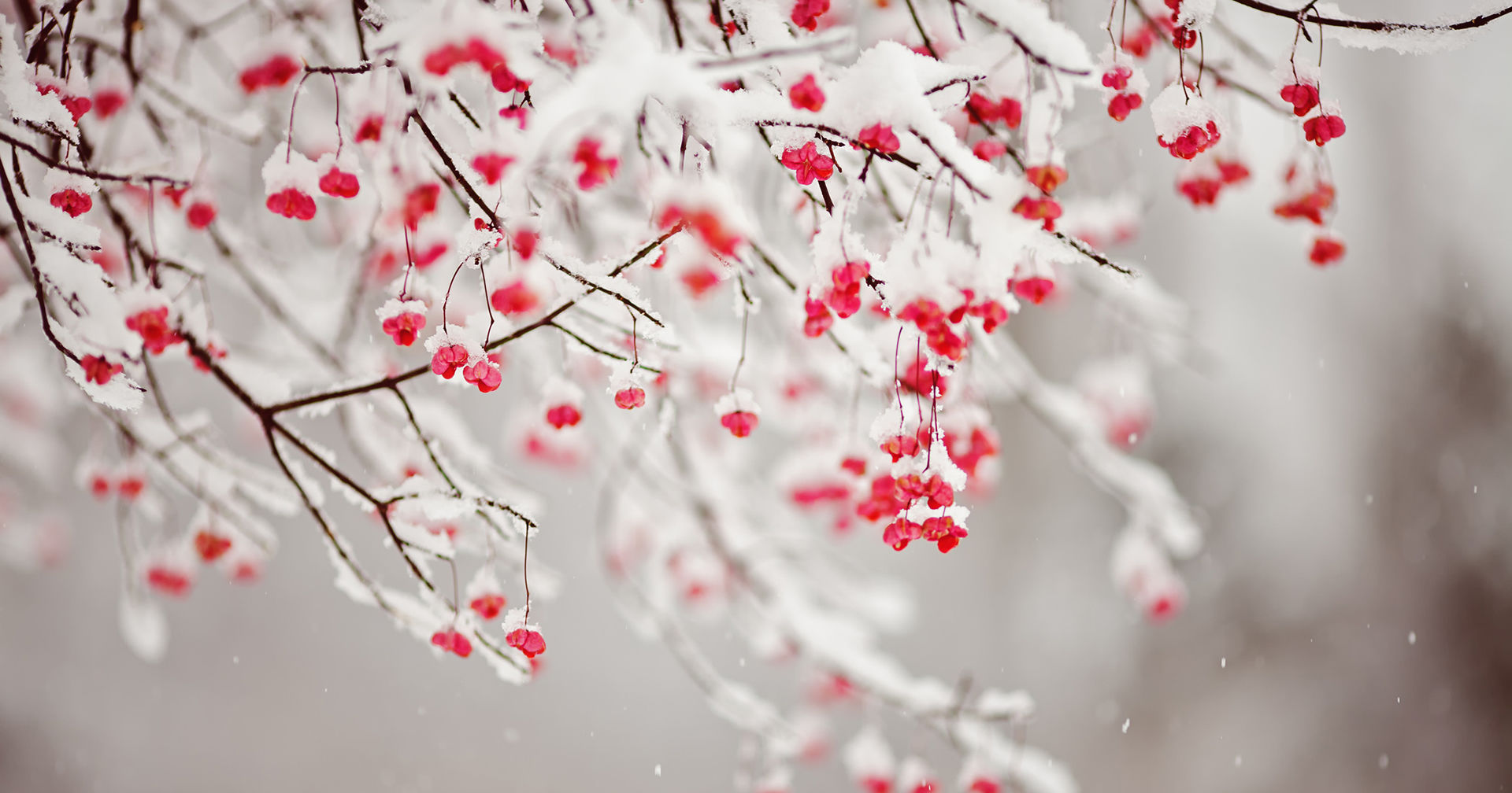  重修旧好|在9月内，重修旧好，念念不忘的前任旧爱，破镜重圆的四大星座