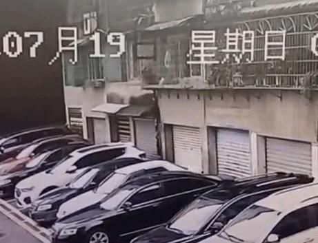  监控|又来！！这次坠下“活的”！业主调监控一看，更生气.....
