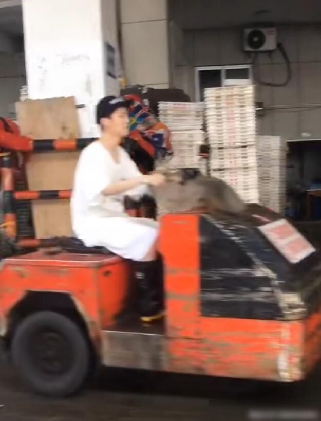  陈赫外|《哈哈哈哈哈》路透曝光，鹿晗邓超陈赫外，五人团第四人终于现身