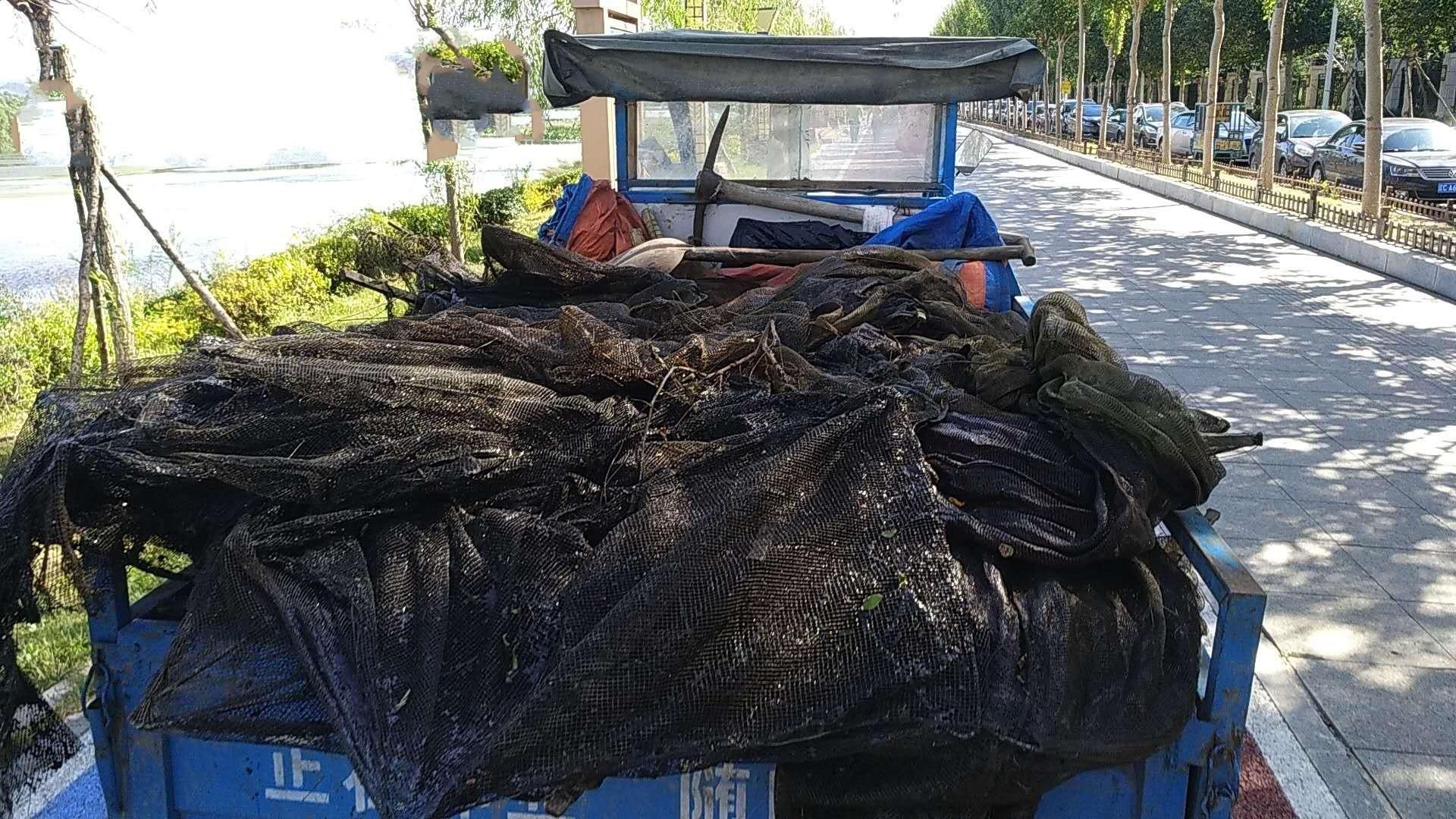 捕鱼|百米河面 竟藏着十余个非法捕鱼笼