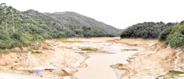  二级|要紧！陆川二级路发生严重车祸，小车司机被卡在车里……