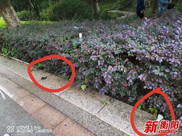 游客|向不文明行为说“不”：游客乱扔垃圾 生态公园很“受伤”