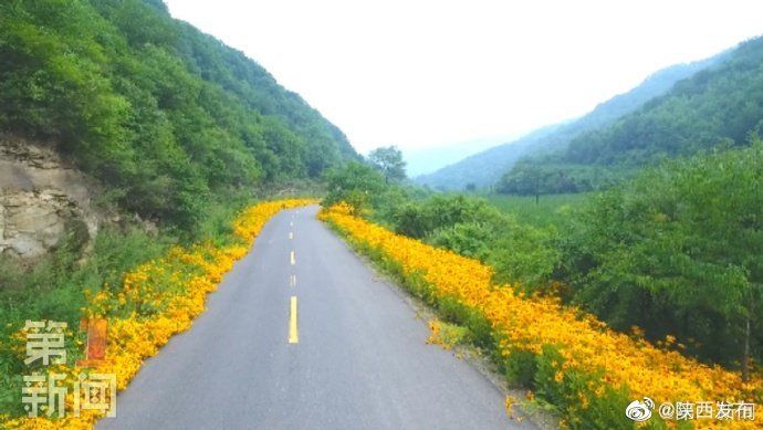 景观|延安黄龙：公路花带成为独特景观