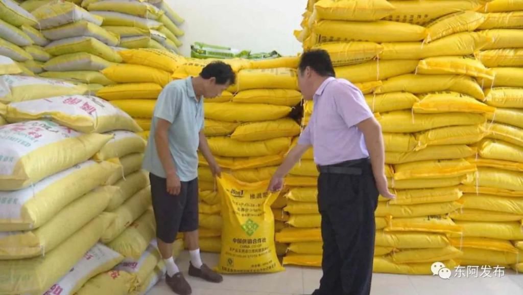 田野|【走向我们的小康生活】东阿：土地托管 “托”起希望的田野